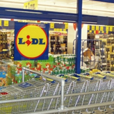 lidl rovinj