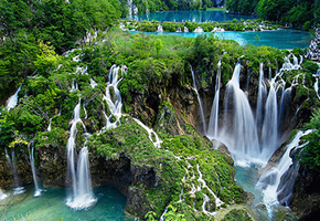 Plitvice park and its virgin forest