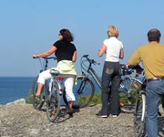 Rovinj bike route 5
