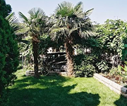 The green garden with palms under the apartments