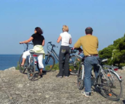 Our guests taking a bike tour