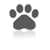 bos-ko apartments allow pets dogs