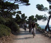 Rovinj bike route 3